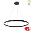 22W LED Pendelleuchte Schwarz Ø60cm Warmweiß